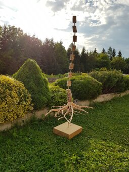 Dřevěná socha - páteř stromu - 3