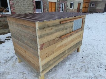 Kurník kaachník - 3