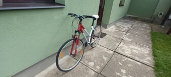 Prodám dámské kolo - 3