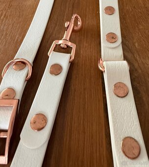 Obojek a vodítko Obodog - 3