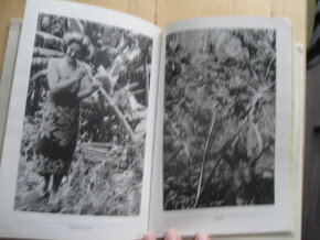 Kniha cestopis Fatu-Hiva - 3