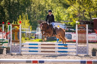 Pony do sportu - 3
