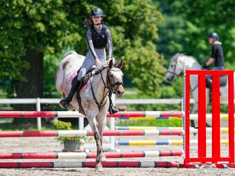Sportovní pony B - 3