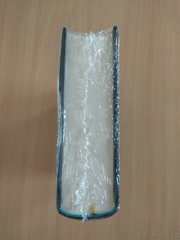 Nová kniha Smrtící slovo - Genevieve Cogman - orig. fólie - 3