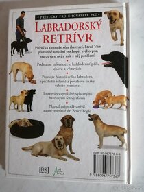 Jezevčík + Labradorský retrívr + Foxteriér - 3