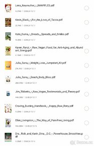 Raw vegan recepty a knihy - přes 30 pdf - 3