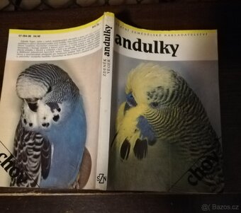 Andulky genetika pro chovatele - 3