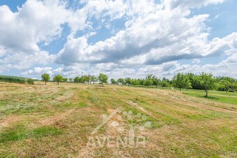 Prodej stavebního pozemku, zahrady a pole - 5 017 m2 - Lačno - 3