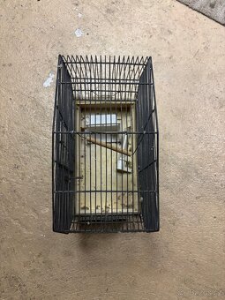 klec pro andulku - 3