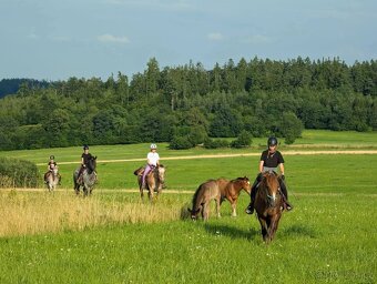 Dětský pobytový tábor u koní - 3