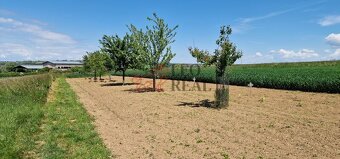 Prodej domu 2+1 k rekonstrukci v Popovicích u Uherského Hrad - 3