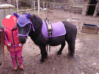 Pony - 3