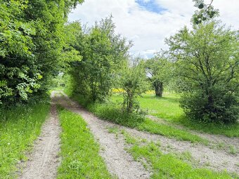 Pronájem jezdeckého areálu – 26 756 m², Měčeříž u Prahy - 3