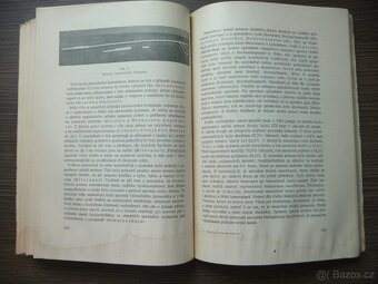 Sterilita havadzieho dobytka 1953 - 3