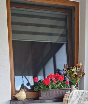 Plastové dveře +okno - 3