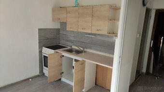 Pronájem bytu 1+1 Krupka, okr. Teplice nezářízený - 3