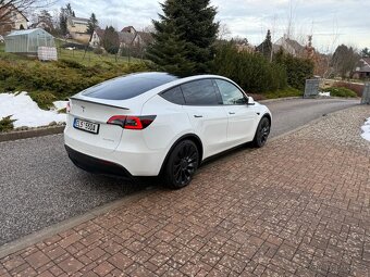 Tesla Model Y Performance - 3