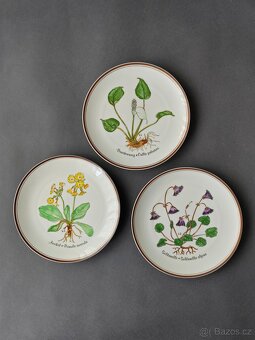Sbírka dekorativních talířů Rosenthal "Alpine Flora Botanic - 3