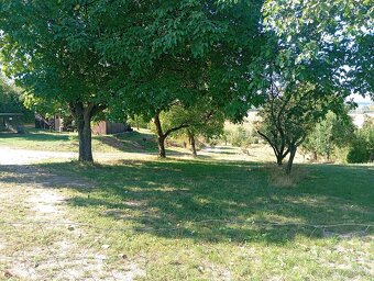 Prodám zahradu u obce Převýšov - 3