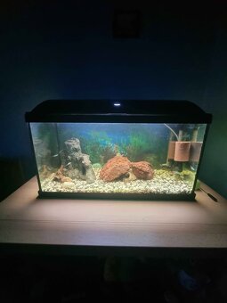 Akvarium - 3