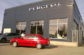 Peugeot 309 GTI - 3