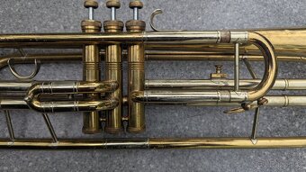 Bastrumpeta Zn. LIDL - 3