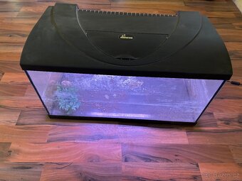 Prodam akvarium - 3