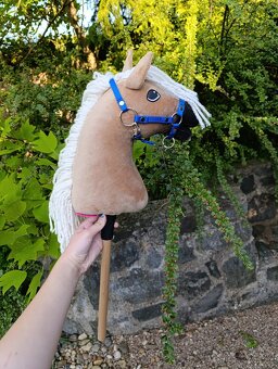 Larden xs hobby horse - 3
