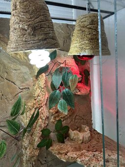 Prodám terárium + vybavení - 3