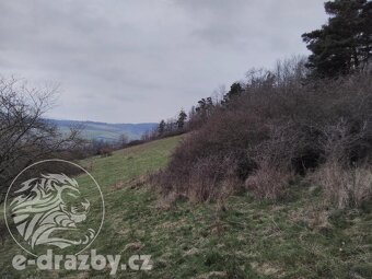 Soubor pozemků ostatních plocha 4 383 m2, obec Sušice, k.ú. - 3