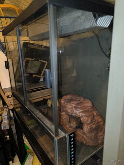 Terarium pro zaby a jine - 3