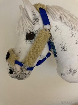 Hobby Horse - 3