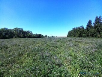 Pozemek vhodný pro komerční využití o výměře 3.444 m2, Králo - 3