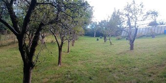 Pronájem zahrady - 3