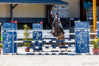 TOP sportovní pony A učitel + další pony - 3
