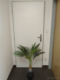 Palma/umělá - 3
