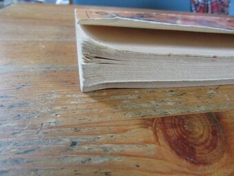 Stephen King - Nadaný žák - mírně poškozená - 3