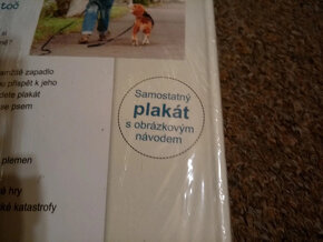 Štěně pro rodinu - 3