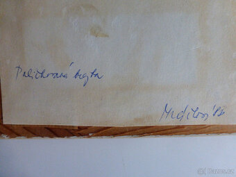 obrázek - paličkovaná krajka - Mráčková - 3