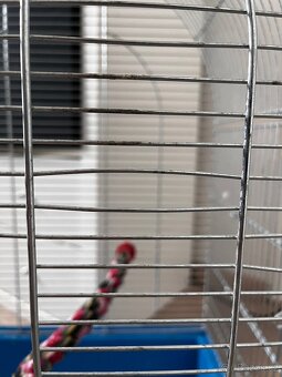 Klec pro papouška. - 3