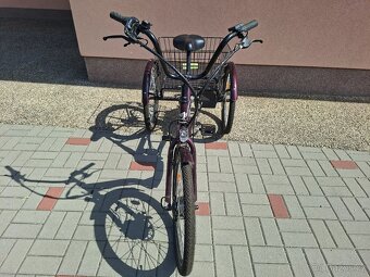 E-trojkolka Liberty - 3