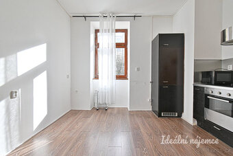 Pronájem bytu 1+kk, Kotlářská, Veveří, 12 000 Kč/měs, 20 m2 - 3