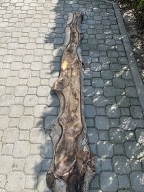 Ořechové fošny tl - 60mm - 3