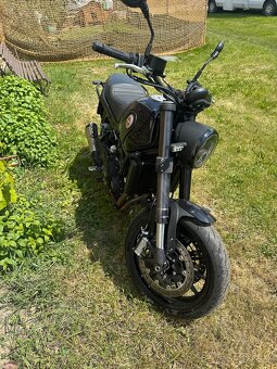 Benelli leoncino 500 - 3