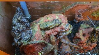 Prodam akvarium Juwel Lido 120 L - 3