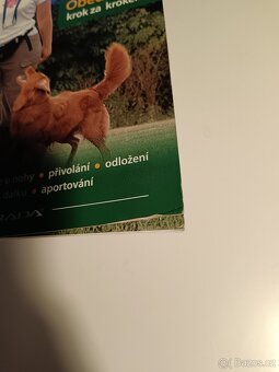 Výcvik psa k dokonalé poslušnosti - 3