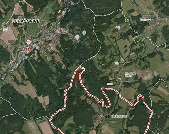 Prodej nevytěženého lesa u Luhačovic - 3,25 ha - 3