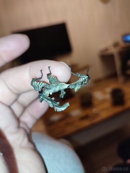 Strašilka Australská - 3