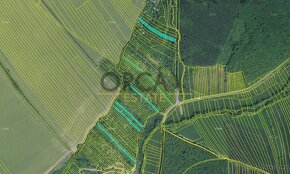 Prodej 1,8 ha pozemků v k. ú. Březolupy - 3