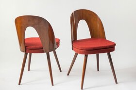 Židle Antonín Šuman - 3